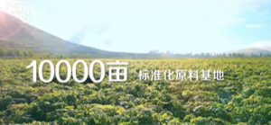 勁酒-數字篇